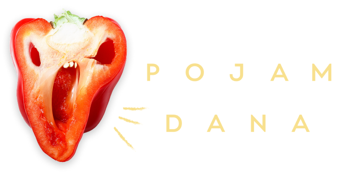 Pojam dana